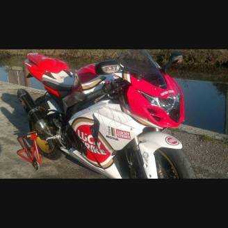 Carenage en abs pour la roue avec peinture compatible avec Suzuki Gsxr 1000 2009 - 2016 - MXPCAV3268