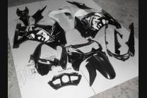 Painted street fairings in abs compatible with Kawasaki ZX Ninja 250 2008 - 2011 - MXPCAV3308