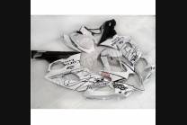 Painted street fairings in abs compatible with Suzuki Gsxr 1000 2005 - 2006 - MXPCAV3352