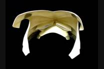 Mv Agusta F3 675 800 set completo senza codone e senza parafango anteriore - MXPCRD3474 2