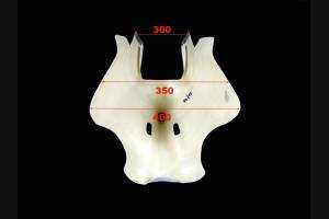 Carénages Cafè Race - MXPVCR3710