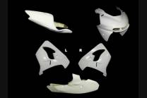 Verkleidungen Kawasaki Zx9R 2000 - 2003 ohne Kotflugel Racing - MXPCRD3652 2