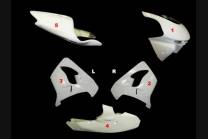 Kawasaki Zx9R 1998 1999 race Fairings without Front Fender - MXPCRD3654 2