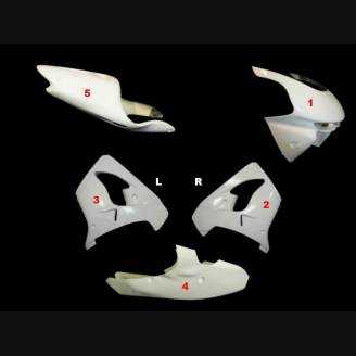 Kawasaki Zx9R 1998 1999 race Fairings without Front Fender - MXPCRD3654