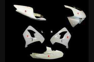Kawasaki Zx9R 1998 1999 race Fairings without Front Fender - MXPCRD3654