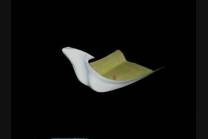 Cowling version 1 narrower MXPVCR4394 2