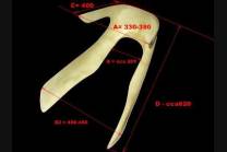 Fairing Cafè Race MXPVCR4424 2