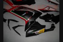 Painted street fairings in abs compatible with Aprilia RS 125 2006 - 2010 - MXPCAV4509