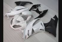 Painted street fairings in abs compatible with Kawasaki ZX6R 2009 - 2012 - MXPCAV4917