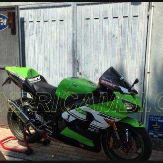 Carenados en abs pintados para la calle compatible con Kawasaki ZX6R 636 2005 - 2006 - MXPCAV5449