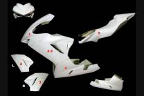MV Agusta F3 675 800 Complete fairings in 5 Pieces without front fender