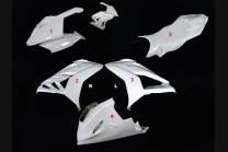 carenado Bmw S1000 RR 2015 - 2018 cubre deposito, sin guardabarros colin - MXPCRD5591 2