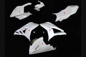 carenado Bmw S1000 RR 2015 - 2018 cubre deposito, sin guardabarros colin - MXPCRD5591