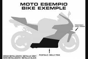 Carenage Racing Peint Honda Cbr 1000 RR 2006 - 2007 + autocollants gratuitemente - MXPCRV5759