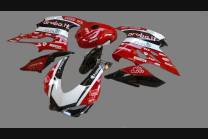 Painted Race Fairings Ducati 1199 899 Panigale - MXPCRV6018