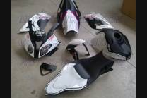 Carenado Racing Pintado Bmw S1000 RR 2009 - 2014+cubre deposito- MXPCRV6019