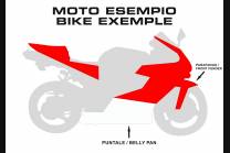 Painted Race Fairings Triumph 675 2013 - 2018 in 2 Colours like the picture + stickers for free - MXPCRV6026