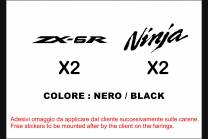 Carene stradali in abs verniciate compatibili con Kawasaki ZX6R 636 2005 - 2006 - MXPCAV6849 2