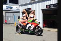 Painted Race Fairings Kawasaki Zx10R 2016 - 2020 - MXPCRV6903 2