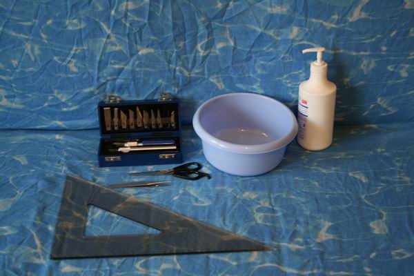 MONTAGGIO ADESIVI #1